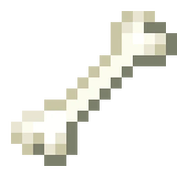 bone